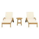 RIMINI Set mobilier terasă/gradină, 2 șezlonguri și măsuță