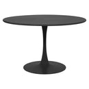 PLEZURO/SUCCOR Set mobilier terasă/grădină, 4 scaune și masă