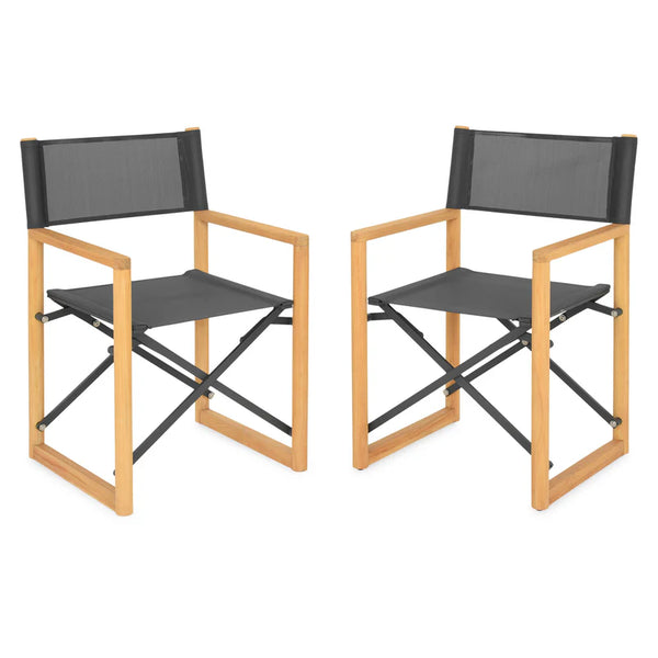 REGIZOR Set mobilier terasă/grădină, 2 scaune pliabile
