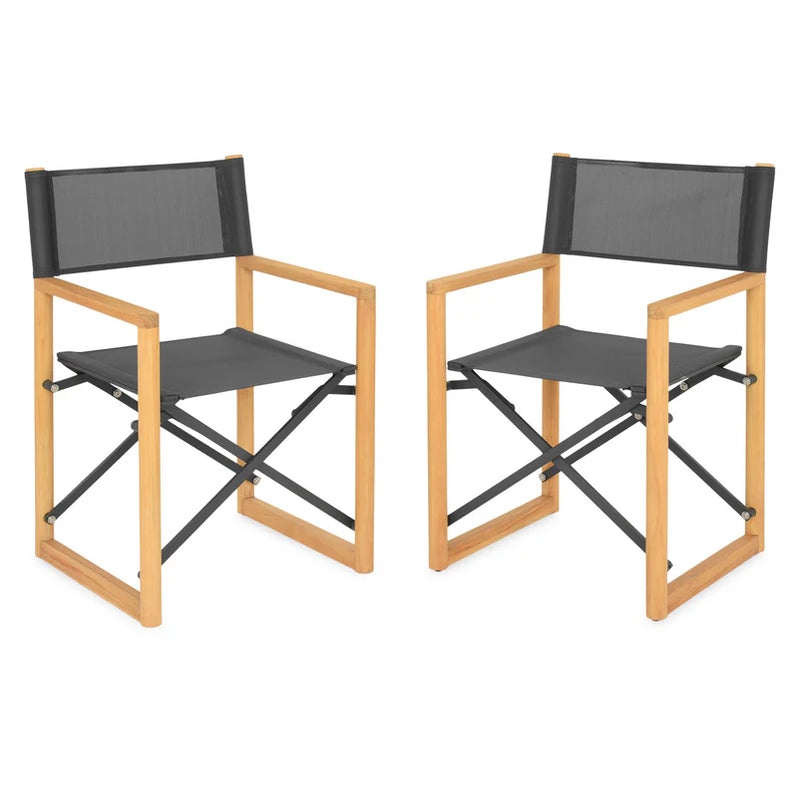 REGIZOR Set mobilier terasă/grădină, 2 scaune pliabile