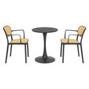 PLEZURO/ALIVIO Set mobilier terasă/grădină, 2 scaune și masă