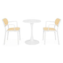 PLEZURO/ALIVIO Set mobilier terasă/grădină, 2 scaune și masă