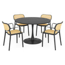 PLEZURO/ALIVIO Set mobilier terasă/grădină, 4 scaune și masă