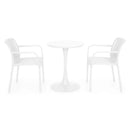 PLEZURO/ALPINE Set mobilier terasă/grădină, 2 scaune și masă