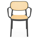 PLEZURO/ALIVIO Set mobilier terasă/grădină, 2 scaune și masă