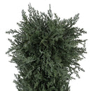 THUJA Plantă artificială H.120