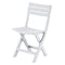 ICARDI Set mobilier terasă/grădină, 2 scaune și masă pliabile