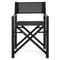 DIRECTOR Set mobilier terasă/grădină, 2 scaune pliabile negru