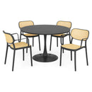 PLEZURO/ALIVIO Set mobilier terasă/grădină, 4 scaune și masă