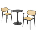 PLEZURO/ALIVIO Set mobilier terasă/grădină, 2 scaune și masă