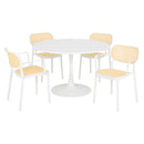 PLEZURO/ALIVIO Set mobilier terasă/grădină, 4 scaune și masă