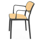 ALIVIO Scaun exterior antracit