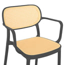 ALIVIO Scaun exterior antracit