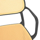 ALIVIO Scaun exterior antracit