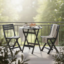 ICARDI Set mobilier terasă/grădină, 2 scaune și masă pliabile